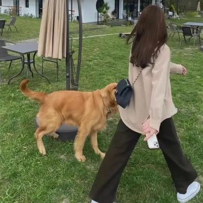 天使的尾巴